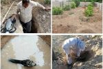شناسایی و برخورد با قریب به ۲ هزار و ۲۰۰ فقره استفاده غیرمجاز از تاسیسات آب و فاضلاب در فارس
