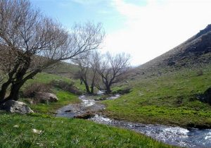 نامگذاری ۱۵ شهریور به نام روز بوانات