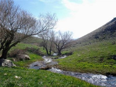 نامگذاری ۱۵ شهریور به نام روز بوانات