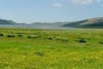 برگزاری همایش مرتع داران فارس در پاسارگاد