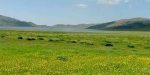 برگزاری همایش مرتع داران فارس در پاسارگاد