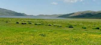 برگزاری همایش مرتع داران فارس در پاسارگاد