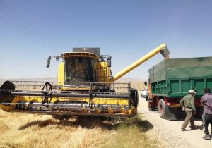 برداشت جو از مزارع شهرستان فسا
