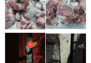 اجرای نذر خدمت به یادخادم ملت ایران