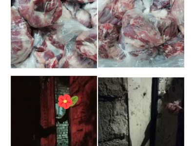 اجرای نذر خدمت به یادخادم ملت ایران