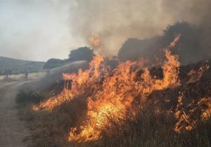 مهار آتش سوزی در ارتفاعات بمو شیراز