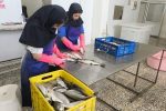 بهره برداری از یک واحد فرآوری و بسته بندی آبزیان در شهرستان بیضا