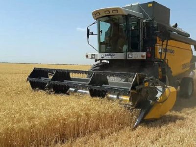 پیش‌بینی برداشت ۱۸ هزار تن جو در شهرستان آباده