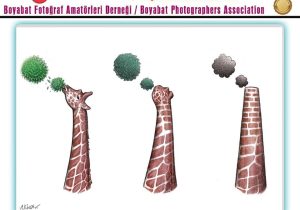 درخشش هنرمند جهرمی در مسابقه بین المللی کارتون ترکیه