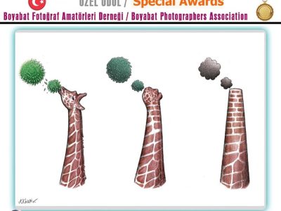 درخشش هنرمند جهرمی در مسابقه بین المللی کارتون ترکیه