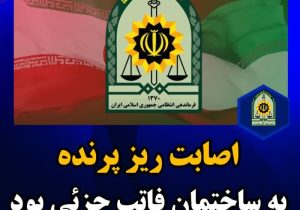 اصابت ریز پرنده به ساختمان فاتب