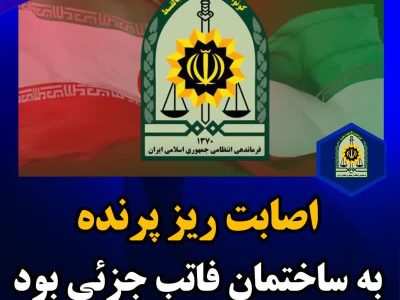 اصابت ریز پرنده به ساختمان فاتب