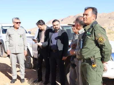 برخورد قاطع با شکارچیان غیر مجاز و متخلفان حوزه محیط زیست