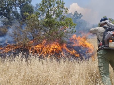 شعله‌های سرکش آتش در منطقه حفاظت شده پارک ملی بمو شیراز