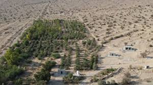 افتتاح کُنارستان ۱۰۰ هکتاری در کَرمُستَج لارستان