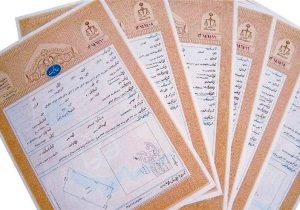 تثبیت ۸ هزار و ۳۰۰ قطعه از اراضی کشاورزی فارس