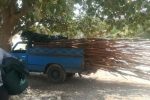 جمعآوری آلاچیقهای بالادست روستای سبوک شیراز