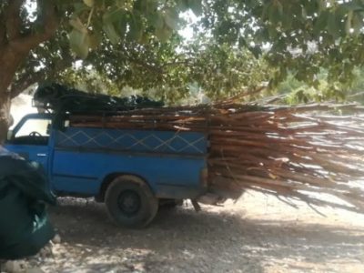 جمع‌آوری آلاچیق‌های بالادست روستای سبوک شیراز