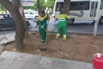 گام بلند شهرداری منطقه یک در احیای فضای سبز بلوار زند
