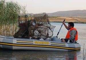 کشف تجهیزات صید غیرمجاز و دستگیری متخلف قطع درخت در تالاب هفت‌برم و منطقه حفاظت شده مله‌گاله شیراز