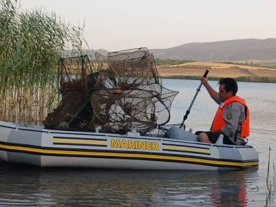 کشف تجهیزات صید غیرمجاز و دستگیری متخلف قطع درخت در تالاب هفت‌برم و منطقه حفاظت شده مله‌گاله شیراز