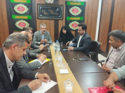 بازدید مدیرکل امور شهری استانداری فارس از طرح های عمرانی سروستان؛ تاکید بر نقش خدمات شهری در توسعه پایدار