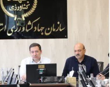 برگزاری جلسه ارزیابی طرح نفوذ دانش در عرصه های تولیدی شهرستان های منطقه ۲ استان فارس