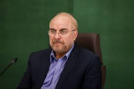پیام رئیس مجلس در پی شهادت سردار غیب‌پرور