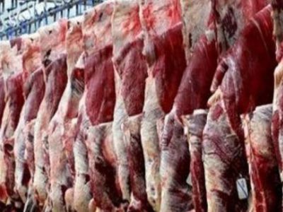 تولید و عرضه ۴ هزار تُن گوشت قرمز در شیراز
