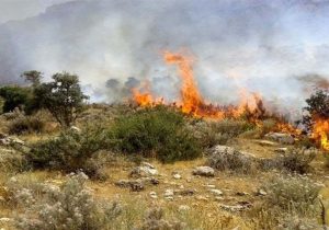 آتش سوزی گسترده در کوه های دراک