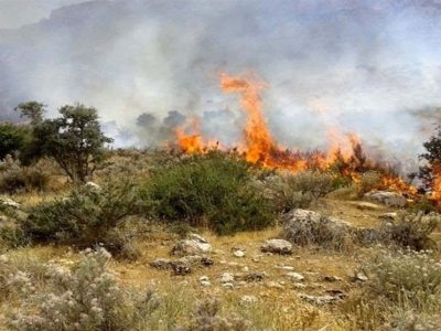 آتش سوزی گسترده در کوه های دراک