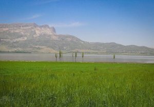 صدور سند تک برگ برای تالاب ارژن