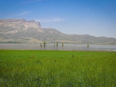 صدور سند تک برگ برای تالاب ارژن