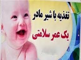 برگزاری همایش حمایت از شیر مادر در شیراز