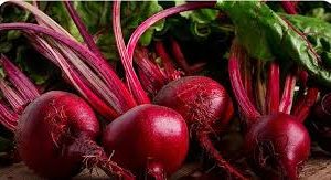 آغاز برداشت چغندرقند از هزار و ۳۵۰ هکتار مزارع ممسنی