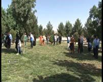 جمع‌ آوری دهنی‌های پلاستیکی قلیان از فضای سبز شهری