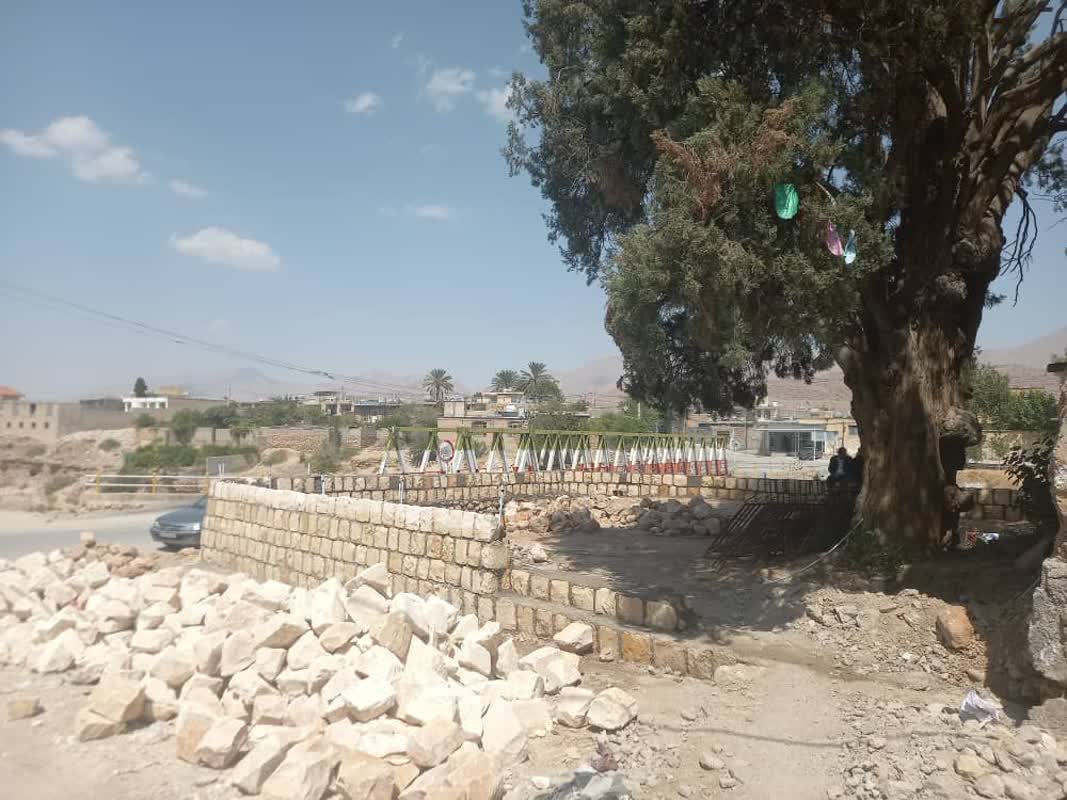 اجرای طرح حفاظتی از درخت تاریخی سرو مسجد کهنه روستای کراده شهرستان خفر اجرای طرح حفاظتی از درخت تاریخی سرو مسجد کهنه روستای کراده شهرستان خفر