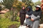 ایجاد ۵ باغچه سلامت توسط بانوان بیضایی