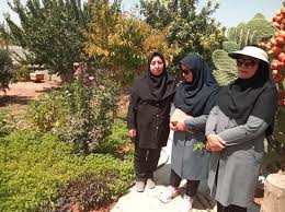 ایجاد ۵ باغچه سلامت توسط بانوان بیضایی