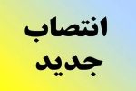 معرفی روسای کمیته های تخصصی هیات ورزش های همگانی