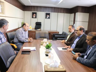 برگزاری نشست بررسی مسائل مربوط به تامین برق شهرک صنعتی بزرگ شیراز و شهرک فناوری صنایع شیمیایی شیراز