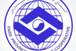 فعالیت ۱۵۰ شرکت تعاونی در حوزه بهداشت و درمان فارس