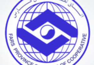 فعالیت ۱۵۰ شرکت تعاونی در حوزه بهداشت و درمان فارس