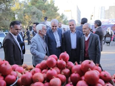 باغات شیراز؛ تپش ماندگار انار، خرمالو و حافظه سبز شهر