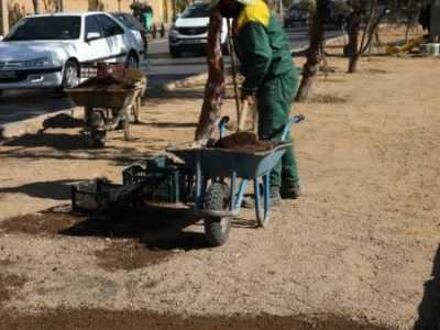 حرکت تازه در مدیریت سبز شهری؛ بهسازی بلوارهای منطقه یک با رویکرد کاهش چمن و کاشت گیاهان کمآب