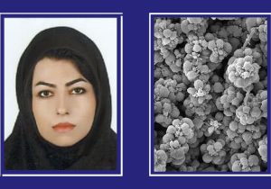 تصویر میکروسکوپی دانشگاه شیراز موفق به کسب رتبه سوم مسابقه بینالمللی متالوگرافی ۲۰۲۵ آمریکا