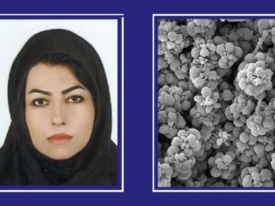 تصویر میکروسکوپی دانشگاه شیراز موفق به کسب رتبه سوم مسابقه بینالمللی متالوگرافی ۲۰۲۵ آمریکا