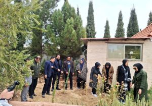 در سایه مادر سالمندان فرزانگان شیراز هم صدای سراسر کشور نهال امید کاشتند