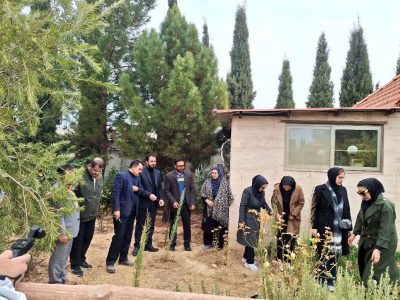 در سایه مادر سالمندان فرزانگان شیراز هم صدای سراسر کشور نهال امید کاشتند