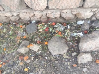 اقدامات فوری برای کنترل تهدیدات بهداشتی و ساماندهی پارک و دریاچه فروزان شیراز